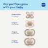 image:imageMAM Original Baby Pacifiers 06 Months Binky for Newborn Babies BPAFree Skin Soft Silicone Nipple Glows in The Dark Developed with Medical Experts 2 Count Made in EuropeFairy DustPurple IrisRose PinkCotton